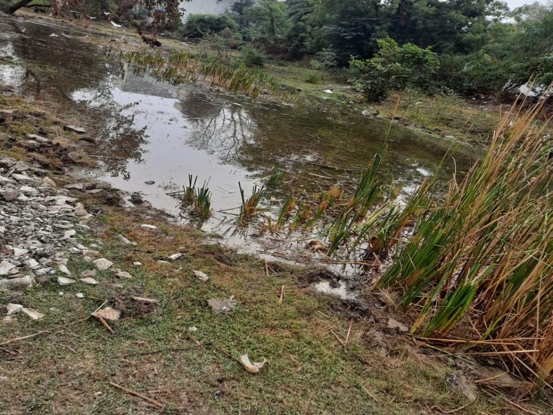 भूजल को प्रदूषित बना रहा आयल व पेट्रो-डीजल वाला खतरनाक पानी