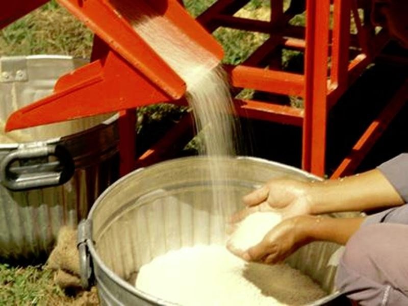 धान की मिलिंग क्षमता बढ़ाने को मंडी टैक्स में छूट देगी मध्य प्रदेश की शिवराज सरकार