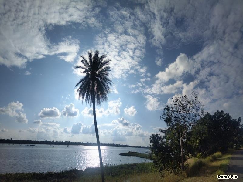 मध्य प्रदेश में बढ़ा दिन का तापमान, कड़ाके की ठंड से राहत के आसार