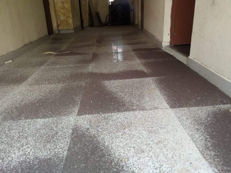 बीना में बोवनी के बाद शासन ने भेजा चने का बीज, वितरण न होने से लग गया घुन