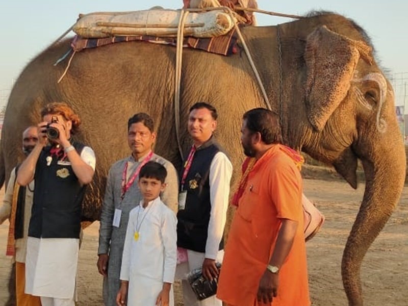 Kundalpur Maha Mahotsav 2022: रथोत्सव परंपरा में गजरथ का महत्व