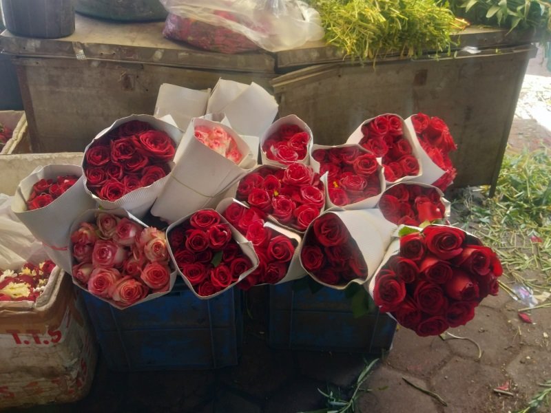 रोज-डे, वेलेंटाइन-डे से पूर्व भोपाल में गुलजार होने लगा गुलाब के फूलों का कारोबार