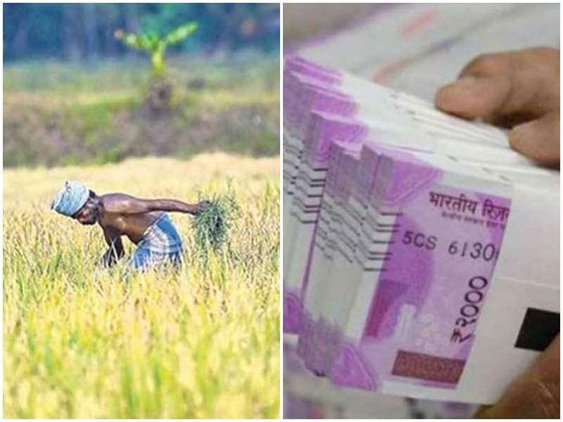 एक हजार रुपये से कम फसल बीमा का भुगतान रोका, एक लाख किसानों को मध्य प्रदेश सरकार देगी फायदा