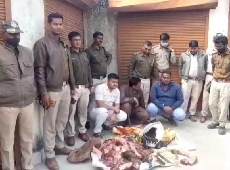 Panna News : शादी में दावत के लिए किया सांभर का शिकार, तीन गिरफ्तार