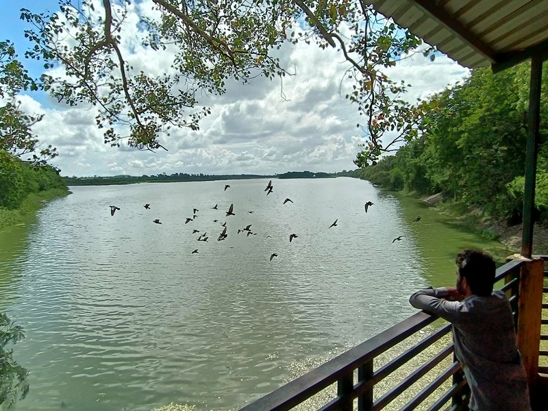 इंदौर के सिरपुर तालाब की सूरत संवारने के लिए लगेगा सीवरेज ट्रीटमेंट प्लांट