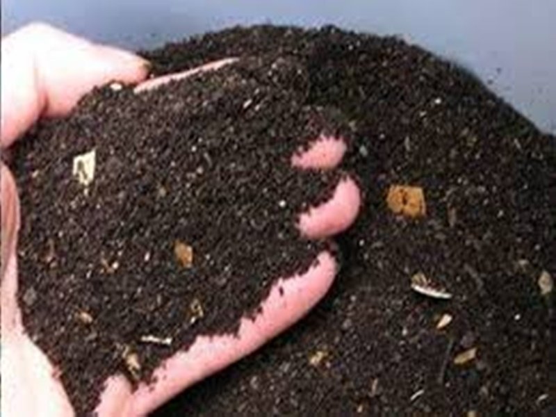 छत्तीसगढ़ : खाद के कोटे में 40 फीसद की कटौती, वैकल्पिक खाद से भरपाई की तैयारी