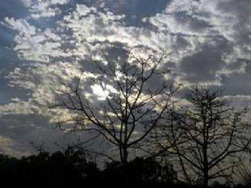 Madhya Pradesh Weather Update: पूर्वी मध्यप्रदेश सहित अन्य शहरों में हल्की बौछारें पड़ने की संभावना