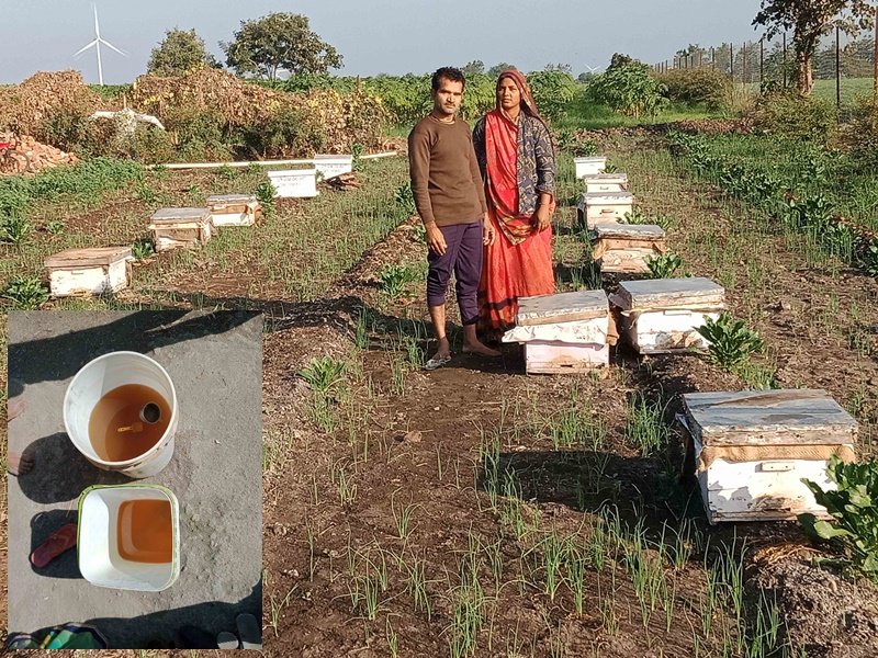 रतलाम जिले के छोटे से गांव के दंपती की मेहनत रंग लाई, मधुमक्खी पालन से ऐसे बढ़ाई आमदनी