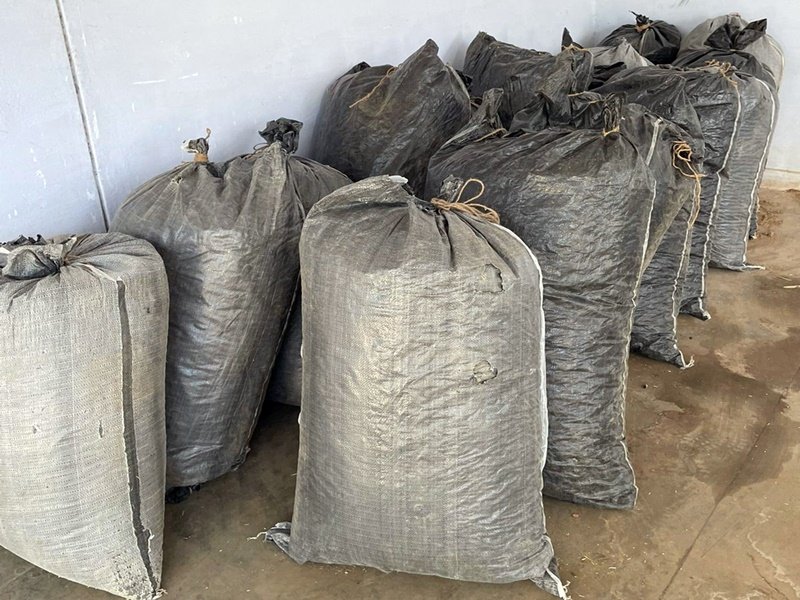 प्रदेश में ड्रग्स तस्करी के मामले 13 महीनों में चार गुना बढ़े, अफीम-गांजे के तस्कर अब सिंथेटिक ड्रग भी बेचने लगे