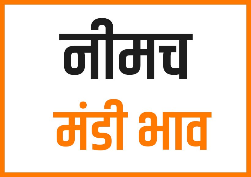 कृषि उपज मंडी नीमच के भाव, जाने किस धान में आया उछाल और किसके गिरे दाम