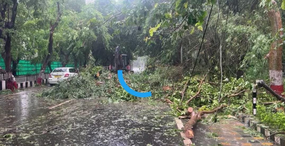मुख्यमंत्री निवास के बाहर बारिश के कारण बड़े पेड़ गिरे