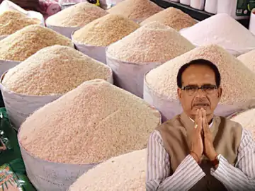 अब गैर बासमती सफेद चावल होगा एक्सपोर्ट