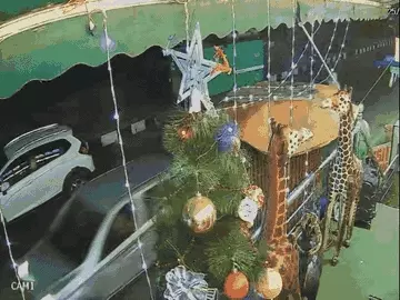 भोपाल में तहसीलदार ने घर में घुसकर परिवार को धमकाया