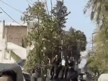 इंदौर में थार की छत पर बैठे स्टूडेंट्स का वीडियो