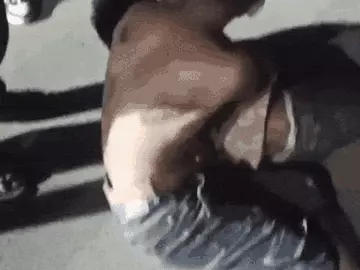 भोपाल में चोरी करने घुसे बदमाशों को भीड़ ने पीटा