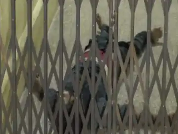 इंदौर में नर्सरी स्कूल की टीचर से छेड़छाड़