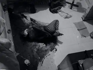 हाथ-पैर रस्सी से बंधे, कमरे में पसरा खून