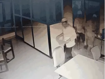 सीए के ऑफिस और बुजुर्ग महिला के घर चोरी