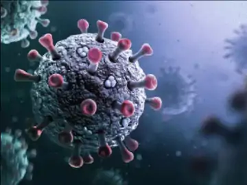 MP में कोरोना के 5 एक्टिव केस