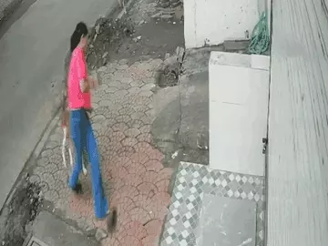 इंदौर में कॉलेज छात्रा को कुत्तों ने गिराकर नोंच डाला