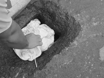 भोपाल में ओवर ब्रिज पर मिला नवजात का शव