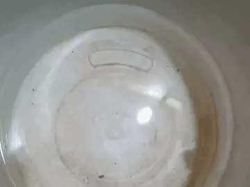 भोपाल के कई इलाकों में बदबूदार पानी