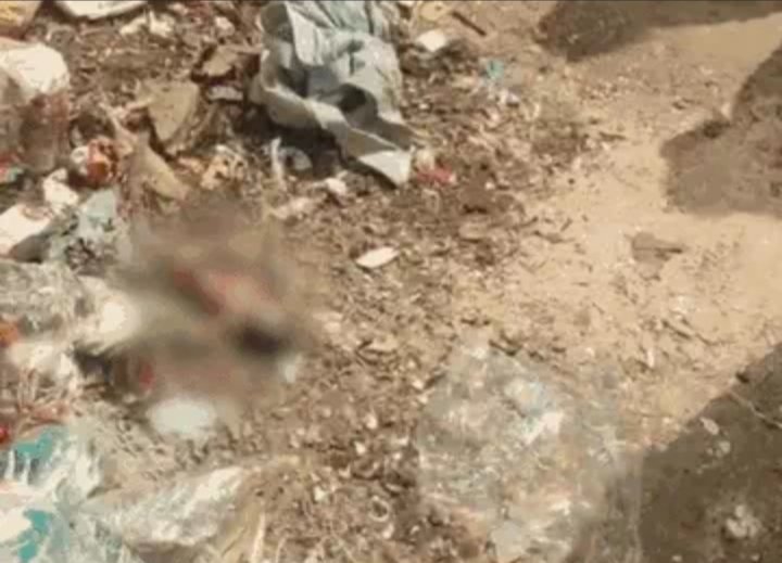 भोपाल में कचरे में मिला 4 महीने का भ्रूण