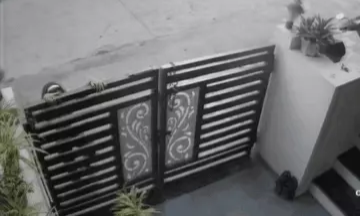 कुत्ते ने किया बच्ची पर हमला