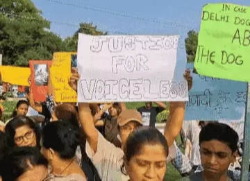सुप्रीम कोर्ट का आदेश – आवारा कुत्तों और पशुओं पर सख्ती पशु-प्रेमी आज करेंगे प्रदर्शन
