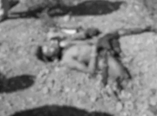 चलती बाइक में ब्लास्ट…युवक के पैरों के चीथड़े उड़े, मौत: सीहोर में विस्फोटक ले जा रहा था, मोटरसाइकिल जलकर खाक