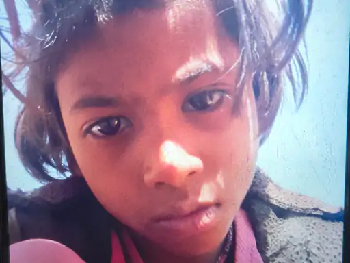 गंजबासौदा में जंगली सूअर ने बच्ची के पेट में घुसेड़े दांत, मौत