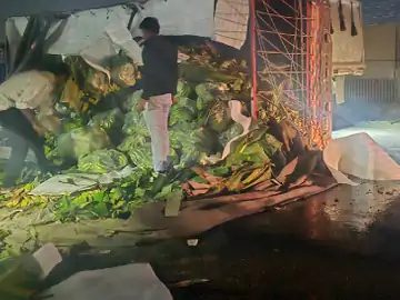 बायपास पर केला लदा ट्रक पलटा