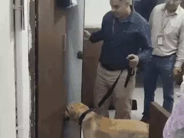 भोपाल: कमिश्नर कार्यालय को बम से उड़ाने की धमकी, मचा हड़कंप