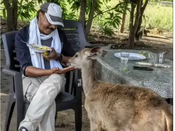 सतपुड़ा टाइगर रिजर्व: एसडीओ ने सांभर को खिलाया पोहा, वीडियो वायरल होने पर घिरे अधिकारी
