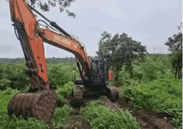 भोपाल: टाइगर मूवमेंट एरिया में पहाड़ और पेड़ों पर चला बुलडोजर, अवैध प्लाटिंग का आरोप