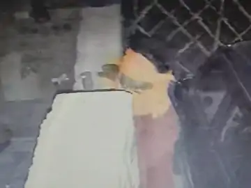 मकान मालिक की सतर्कता से टली चोरी की वारदात, सीसीटीवी में कैद हुआ संदिग्ध