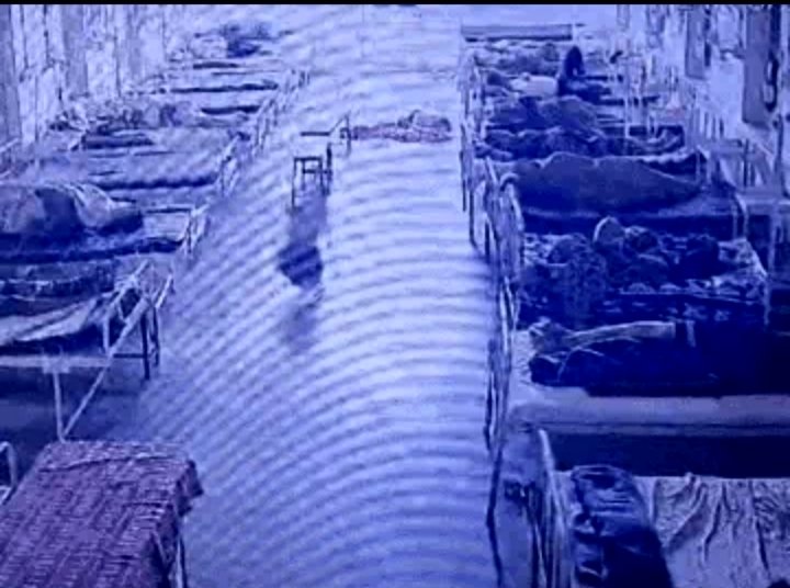 अस्पताल से ₹4 लाख के जेवरों से भरा बैग ले भागा कुत्ता, पुलिस ने CCTV खंगालकर महिला को लौटाया