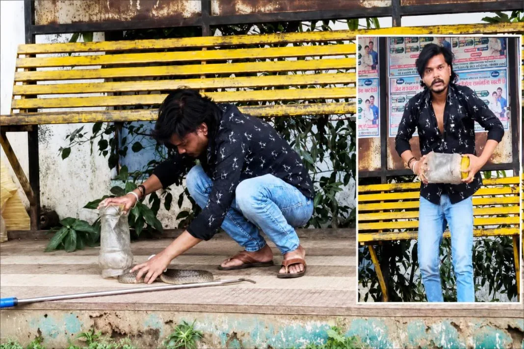 कोबरा का रेस्क्यू करते वक्त सर्प मित्र को सांप ने डसा, इलाज के दौरान मौत