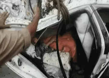 बारिश के दौरान कार पर गिरा भारी-भरकम पेड़, डिप्टी कलेक्टर की मां की मौत; दो घायल