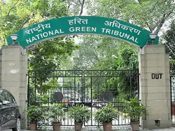 बड़ा तालाब में सिंघाड़े की खेती और कीटनाशक मामला: एनजीटी ने दिए पानी की नियमित जांच और जैविक खेती के निर्देश